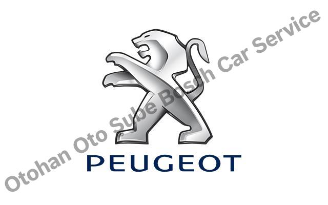 Sivas Peugeot Servisi